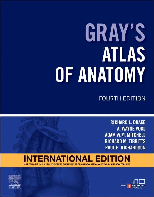 Gray's Atlas of Anatomy,International Edition,4e