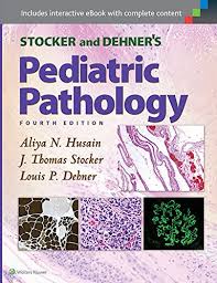 Heptinstall'S Pathology Of The Kidney, 8E