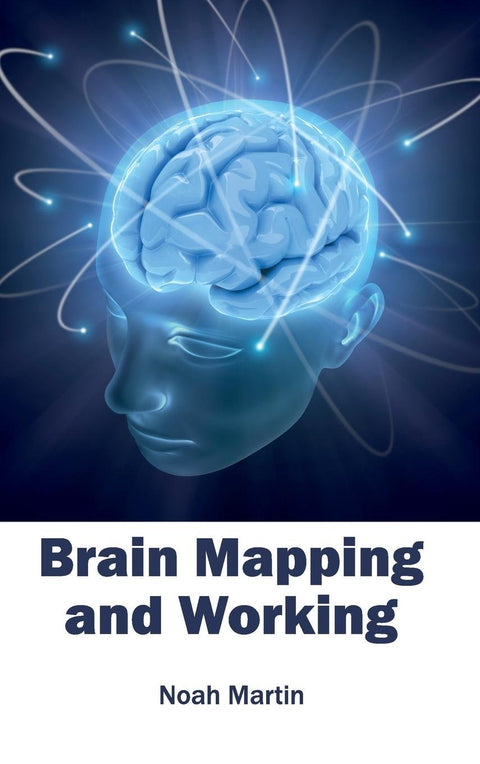 Brain Mapping And Working